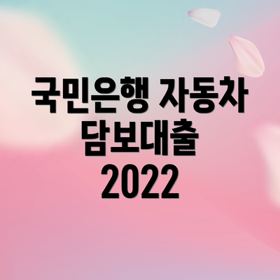 국민은행 자동차 담보대출 2022