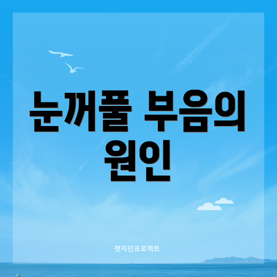 눈꺼풀 부음의 원인