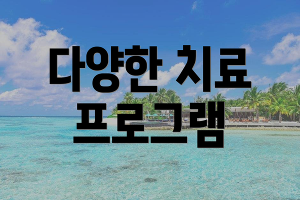 다양한 치료 프로그램