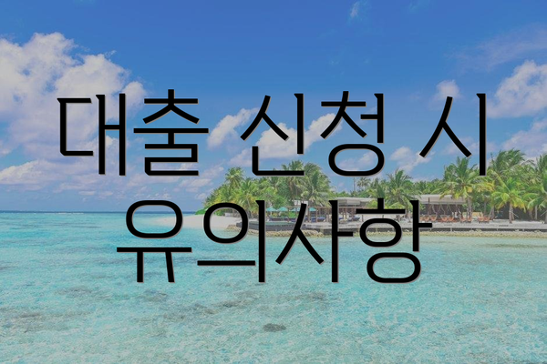 대출 신청 시 유의사항