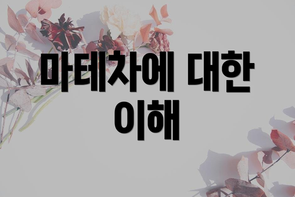 마테차에 대한 이해