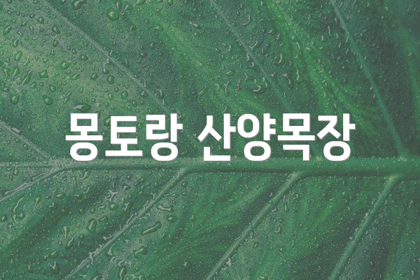 몽토랑 산양목장