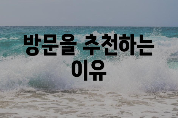 방문을 추천하는 이유