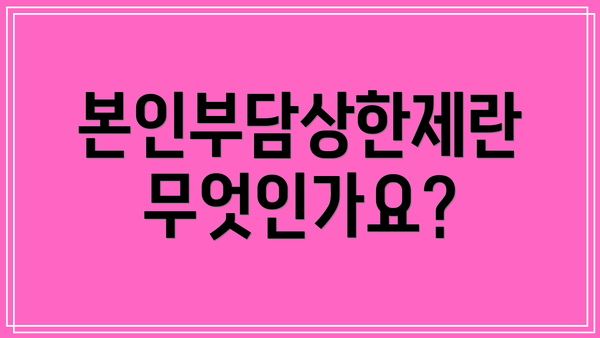 본인부담상한제란 무엇인가요?