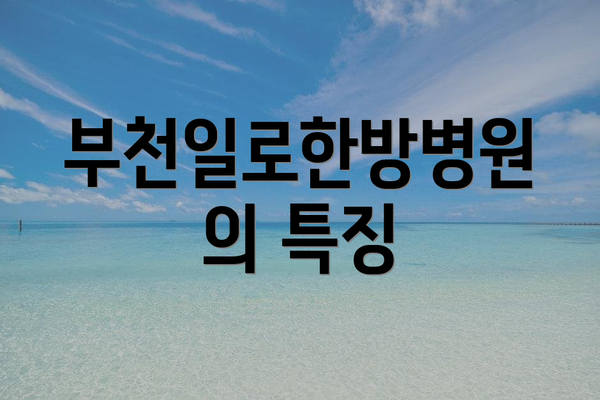 부천일로한방병원의 특징