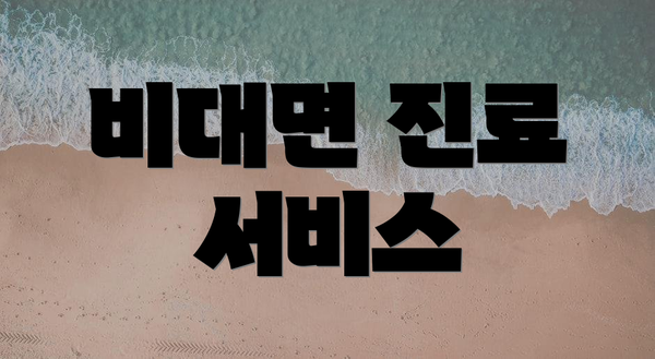 비대면 진료 서비스