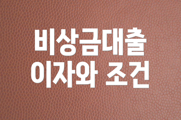 비상금대출 이자와 조건