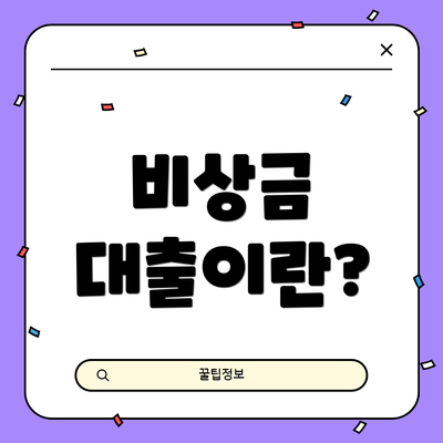 비상금 대출이란?