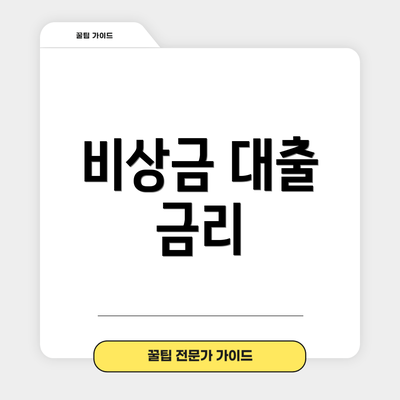비상금 대출 금리