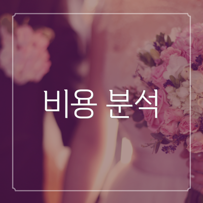 비용 분석