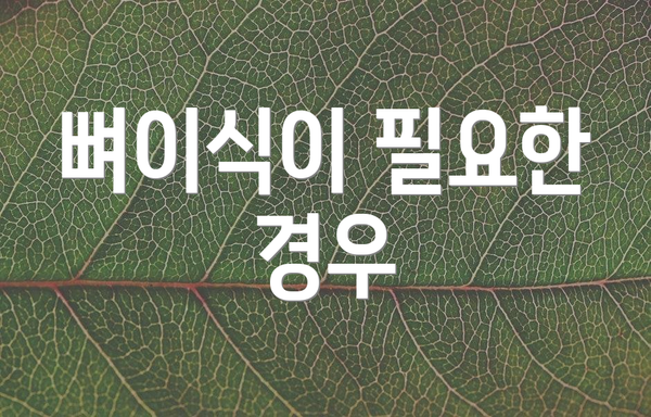 뼈이식이 필요한 경우