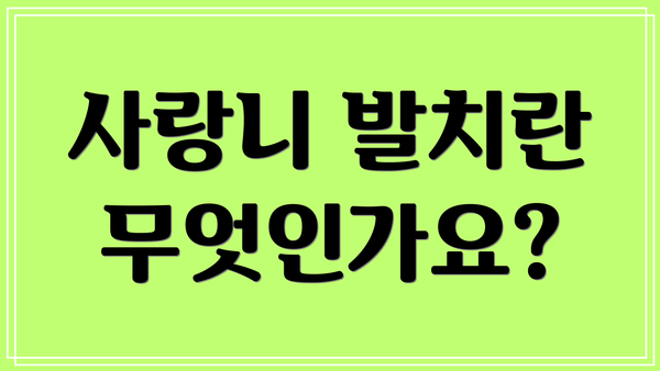 사랑니 발치란 무엇인가요?