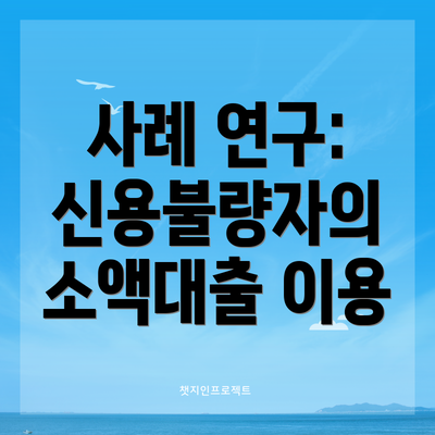 사례 연구: 신용불량자의 소액대출 이용