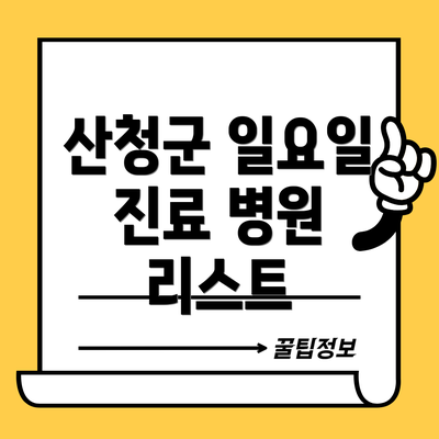 산청군 일요일 진료 병원 리스트