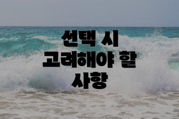 선택 시 고려해야 할 사항