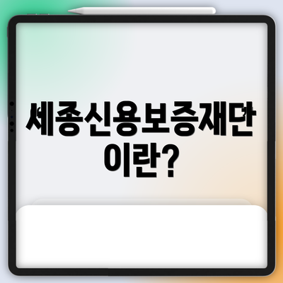 세종신용보증재단이란?