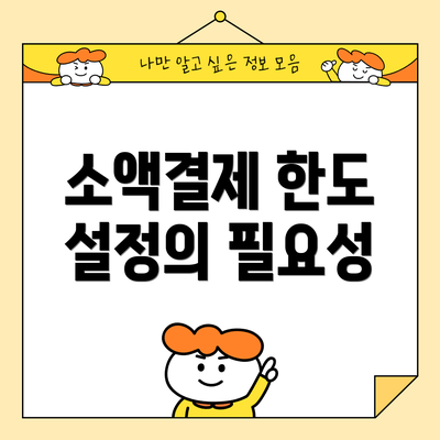 소액결제 한도 설정의 필요성