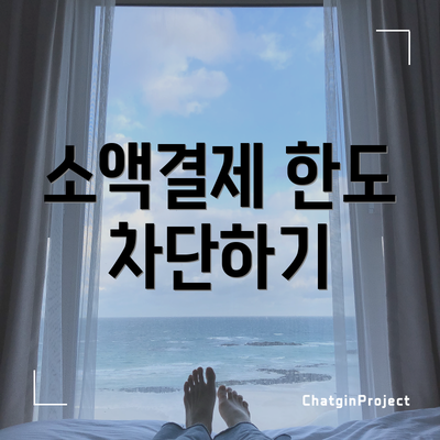 소액결제 한도 차단하기