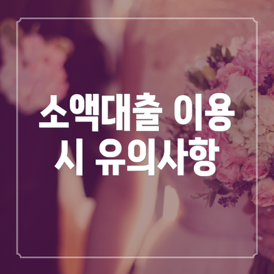 소액대출 이용 시 유의사항