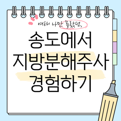 송도에서 지방분해주사 경험하기