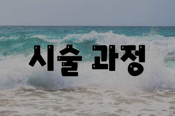 시술 과정