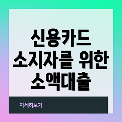 신용카드 소지자를 위한 소액대출