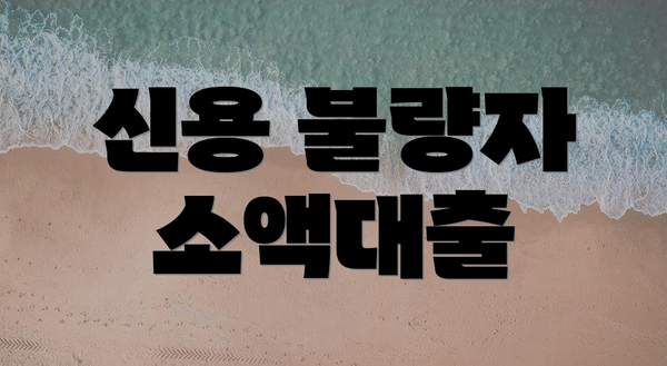 신용 불량자 소액대출