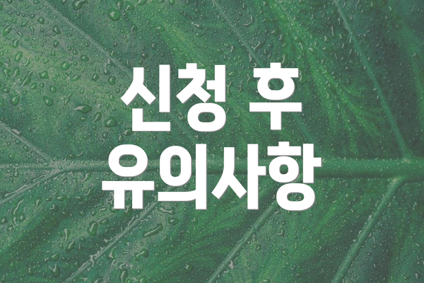 신청 후 유의사항