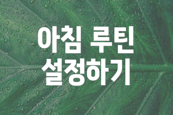 아침 루틴 설정하기