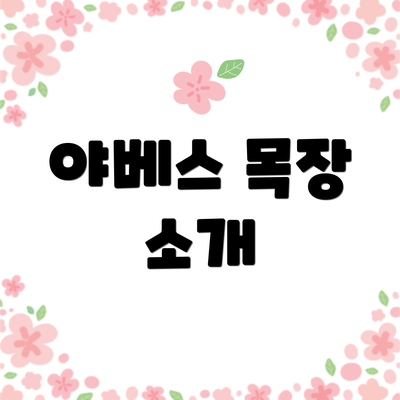 야베스 목장 소개