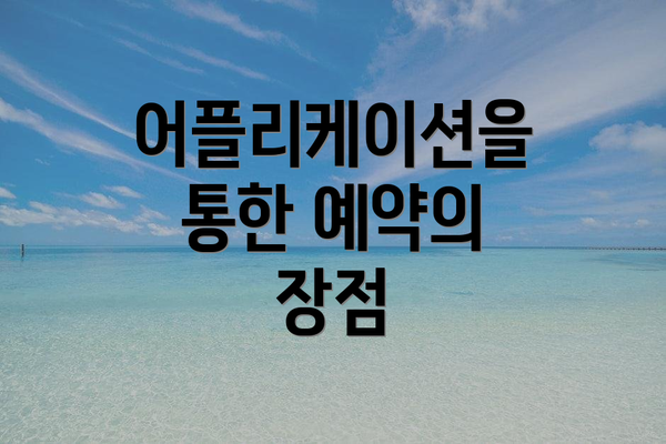 어플리케이션을 통한 예약의 장점