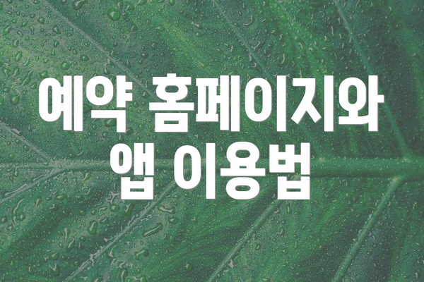 예약 홈페이지와 앱 이용법