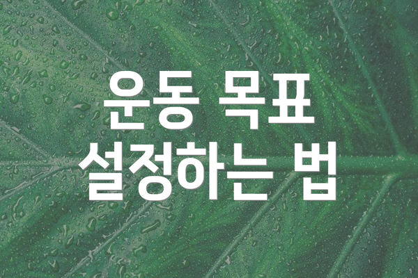 운동 목표 설정하는 법