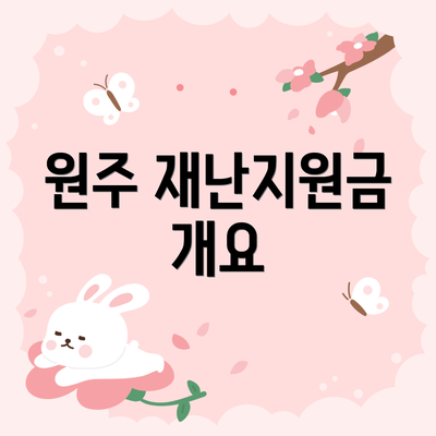 원주 재난지원금 개요