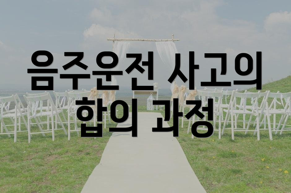 음주운전 사고의 합의 과정