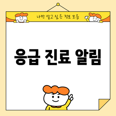 응급 진료 알림
