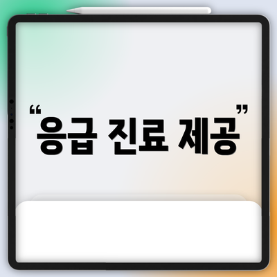 응급 진료 제공