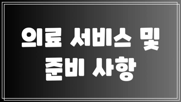 의료 서비스 및 준비 사항