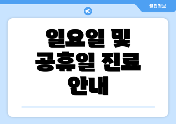 일요일 및 공휴일 진료 안내