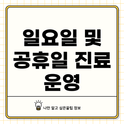 일요일 및 공휴일 진료 운영