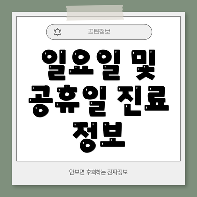 일요일 및 공휴일 진료 정보