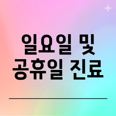 일요일 및 공휴일 진료