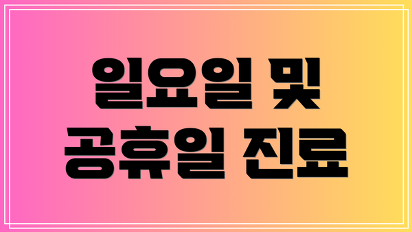 일요일 및 공휴일 진료