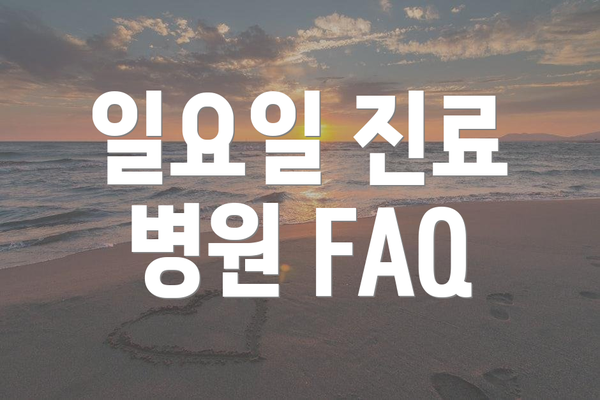 일요일 진료 병원 FAQ