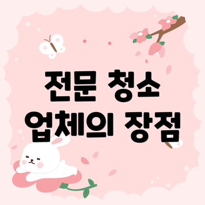 전문 청소 업체의 장점