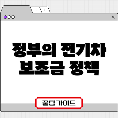 정부의 전기차 보조금 정책