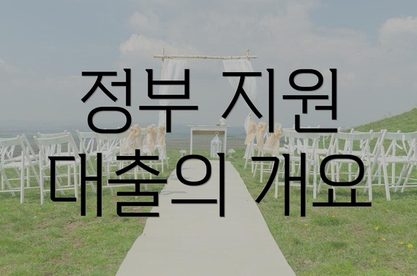 정부 지원 대출의 개요