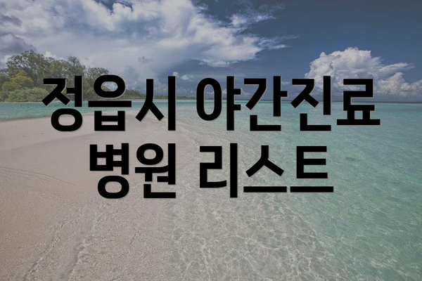 정읍시 야간진료 병원 리스트