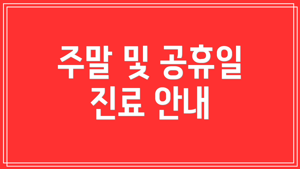 주말 및 공휴일 진료 안내