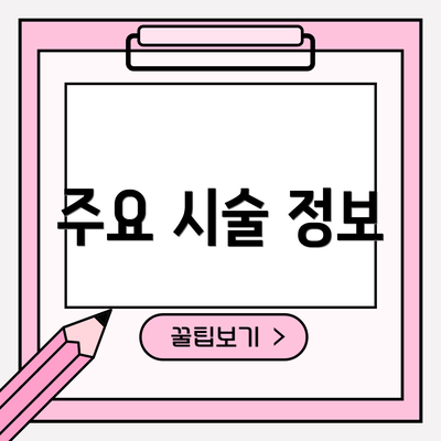 주요 시술 정보